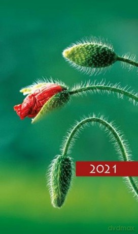 Kalendarz 2021 Tygodniowy Kolorowy mak [KALENDARZ]