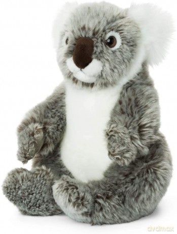 Koala 22 WWF