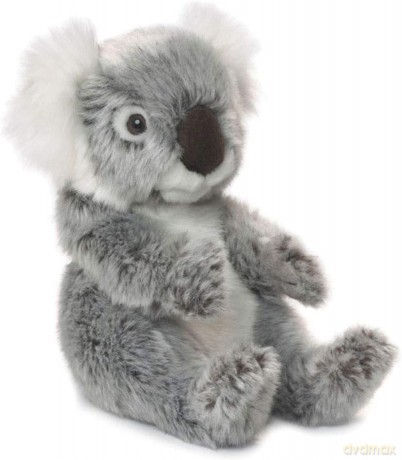 Koala 22 WWF