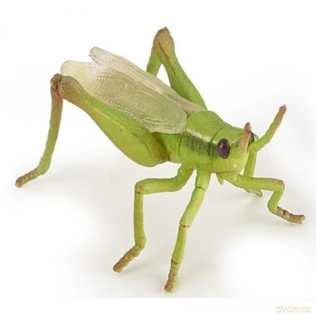 Konik polny [FIGURKA]