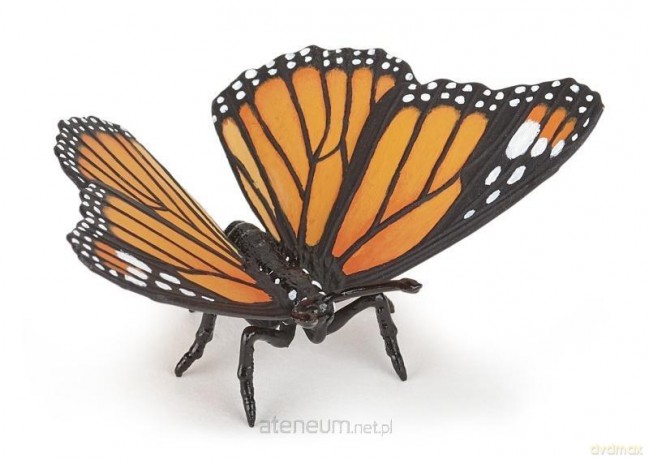 Motyl [FIGURKA]