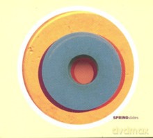 SPRiNG: Slides [CD]