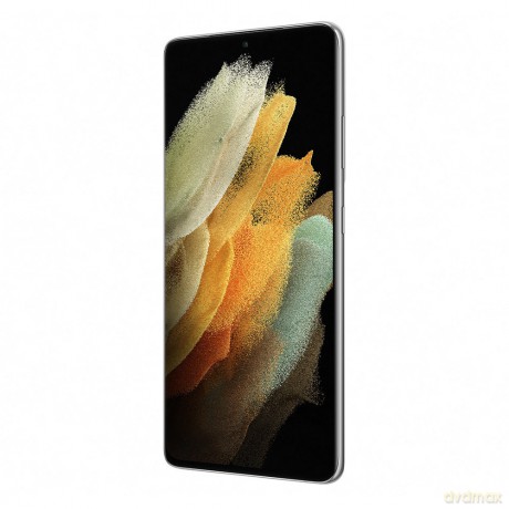 Samsung Protective Standing Cover S21 Ultra Light Gray