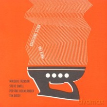 Mikołaj Trzaska, Steve Swell, Per-Âke Holmlander, Tim Daisy: Inner Ear [CD]