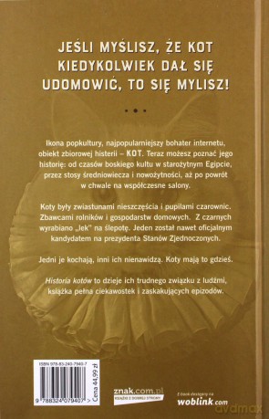 Historia kotów - Madeline Swan [KSIĄŻKA]