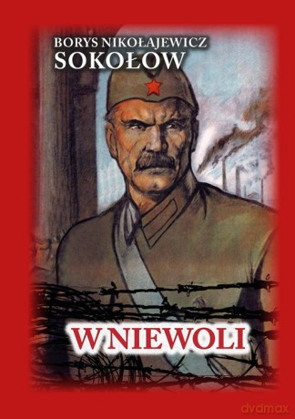 W niewoli - Borys Nikołajewicz Sokołow [KSIĄŻKA]
