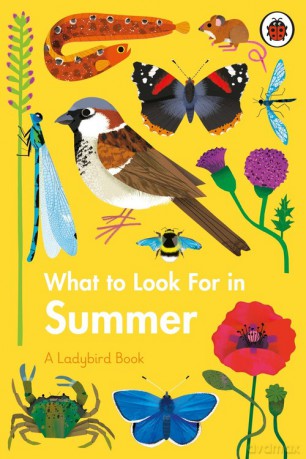 What to Look For in Summer - Elizabeth Jenner [KSIĄŻKA]