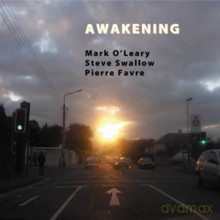 Mark O'Leary, Steve Swallow, Pierre Favre: Awakening [CD]