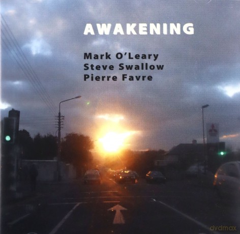 Mark O'Leary, Steve Swallow, Pierre Favre: Awakening [CD]