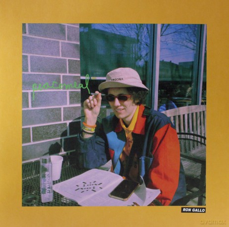 Ron Gallo: Peacemeal (Green) [Winyl]
