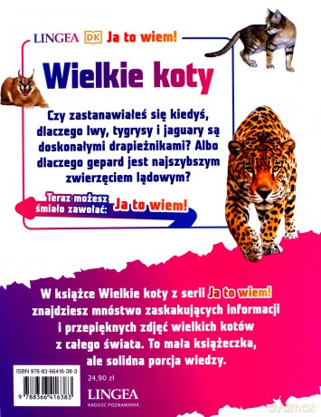Wielkie koty - Andrea Mills [KSIĄŻKA]