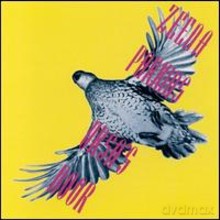 Zeena Parkins: URSA'S Door [CD]