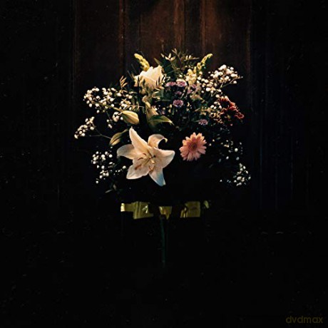 Lastelle: Delicate (Limited) [Winyl]