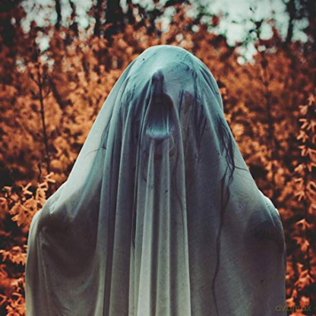 Noctambulist: Noctambulist I: Elegieen (Limited) [CD]
