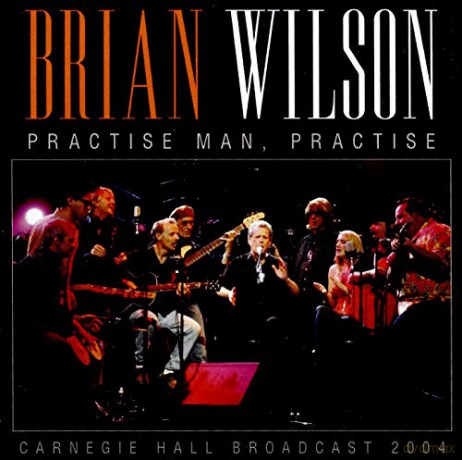 Brian Wilson: Practise Man. Practise [CD]