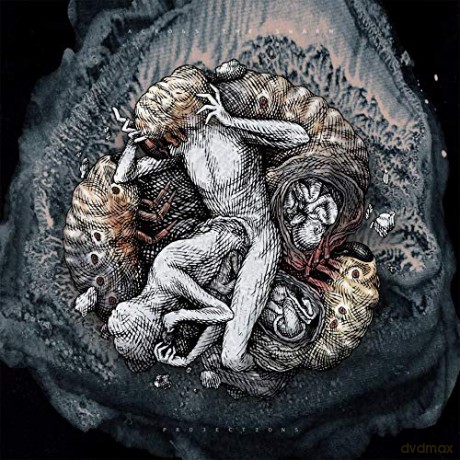 Across The Swarm: Projections [Winyl]