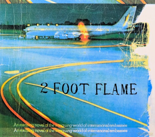 2 Foot Flame: 2 Foot Flame [CD]