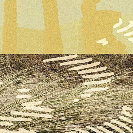 Parris: Terrapin Ep [Winyl]