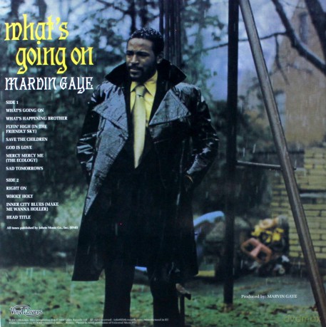 Marvin Gaye: What's Going On (Swamp Green) [Winyl]