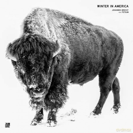 Johannes Brecht: Winter In America [Winyl]