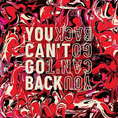 Sarin: You Cant Go Back [CD]