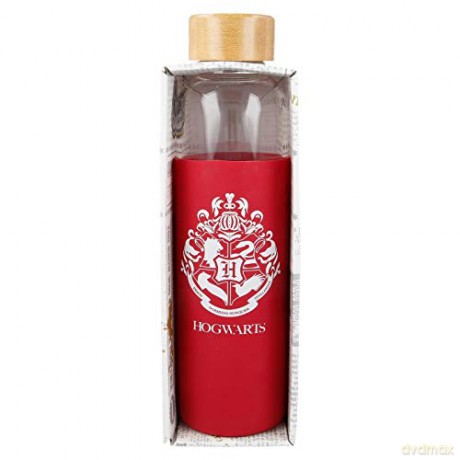 HARRY POTTER - Szklana butelka 585 ml