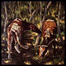 Mats Gustafsson Trio: Mouth Eating Trees... [CD]
