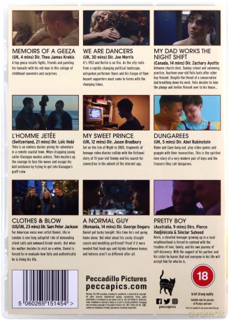 Boys On Film 21 - Beautiful Secret [DVD]
