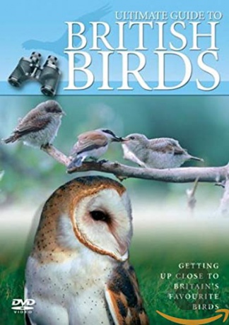 Ultimate Guide to British Birds [DVD]