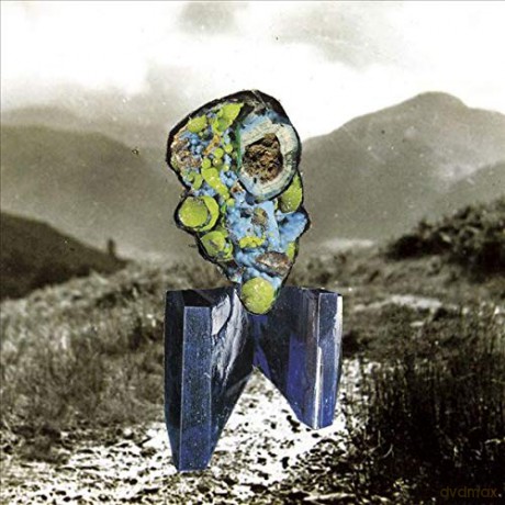 Richard Dawson: The Glass Trunk [2xWinyl]