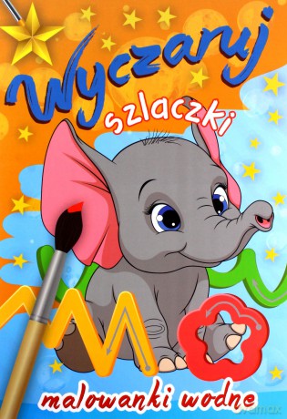 Wyczaruj szlaczki. Malowanki wodne [KSIĄŻKA]