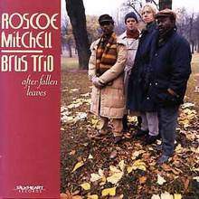 Roscoe Mitchell, Brus Trio: After Fallen Leaves [CD]