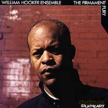 William Hooker Ensemble: The Firmament Fury [CD]