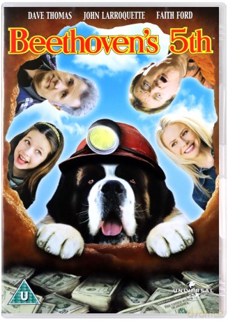 Beethoven's 5th [DVD]