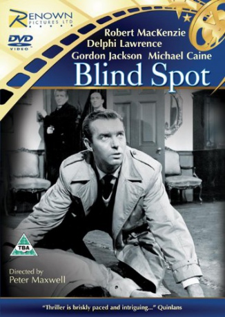 Blind Spot [DVD]