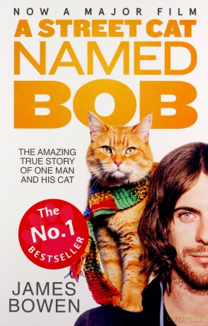 Kot Bob i ja [DVD]+[KSIĄŻKA]