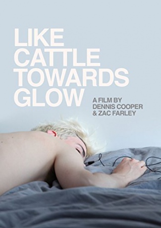 Like Cattle Towards Glow [DVD]