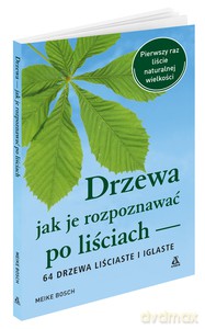 Drzewa - jak je rozpoznawać po liściach - Meike Bosch [KSIĄŻKA]