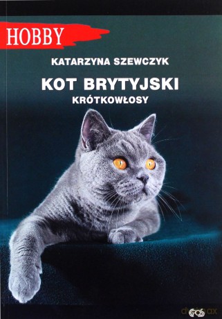 Kot brytyjski krótkowłosy - Katarzyna SzewczyK [KSIĄŻKA]