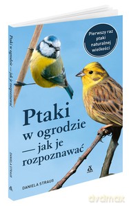 Ptaki w ogrodzie - jak je rozpoznawać - Daniela Strauss [KSIĄŻKA]