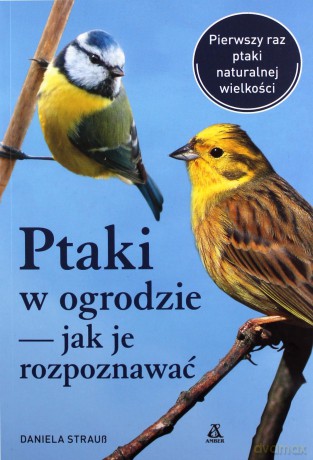 Ptaki w ogrodzie - jak je rozpoznawać - Daniela Strauss [KSIĄŻKA]