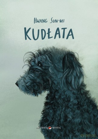 Kudłata - Sun-mi Hwang [KSIĄŻKA]