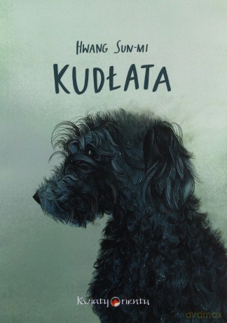Kudłata - Sun-mi Hwang [KSIĄŻKA]