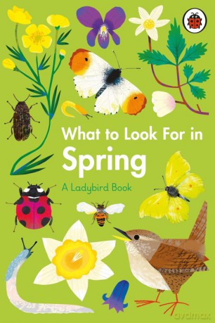 What to Look For in Spring - Elizabeth Jenner [KSIĄŻKA]