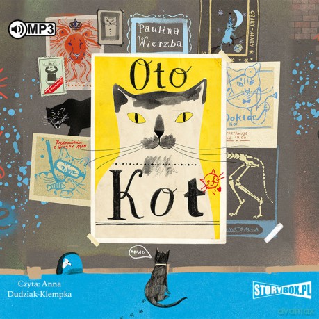 Oto kot - Paulina Wierzba [AUDIOBOOK]