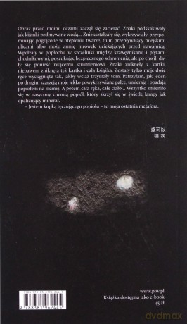 Tęczujący popiół - Sheng Keyi [KSIĄŻKA]