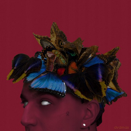 Sobel: Pułapka Na Motyle [CD]