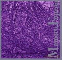 Mamoru Fujieda: Patterns of Plants [CD]