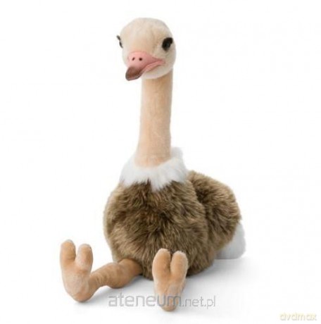 Struś 35 cm WWF