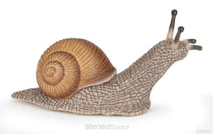 Ślimak [FIGURKA]